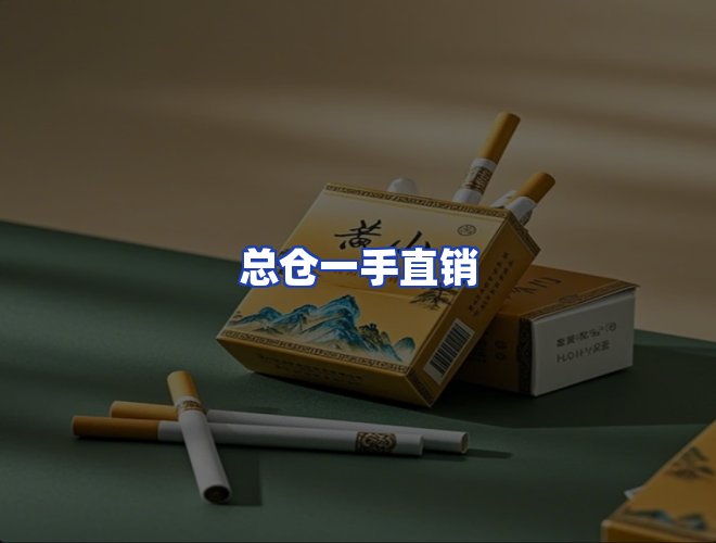 专业团队